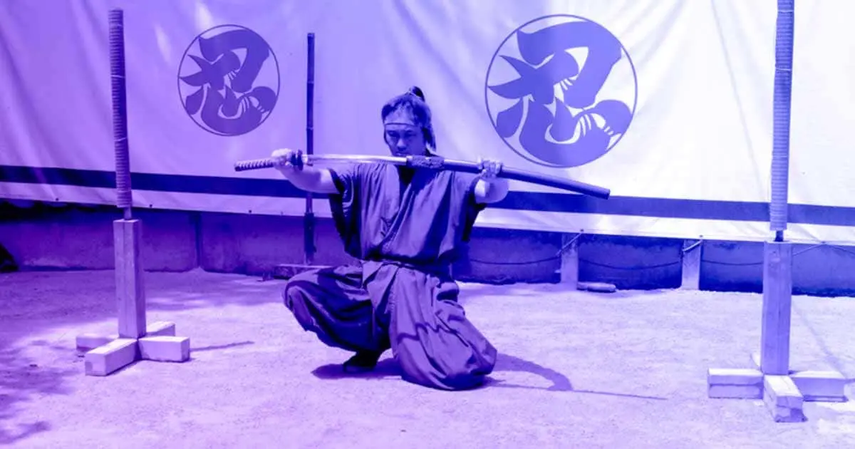 Ninja de Togakure-Ryu Ninjutsu - Togakure-Ryu Ninpo