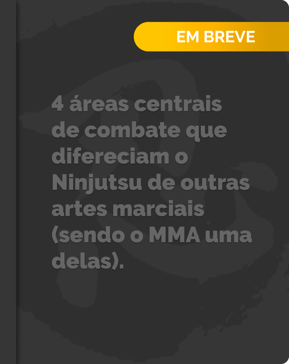 4 áreas centrais de combate que diferenciam o Ninjutsu de outras artes marciais (sendo o MMA uma delas)